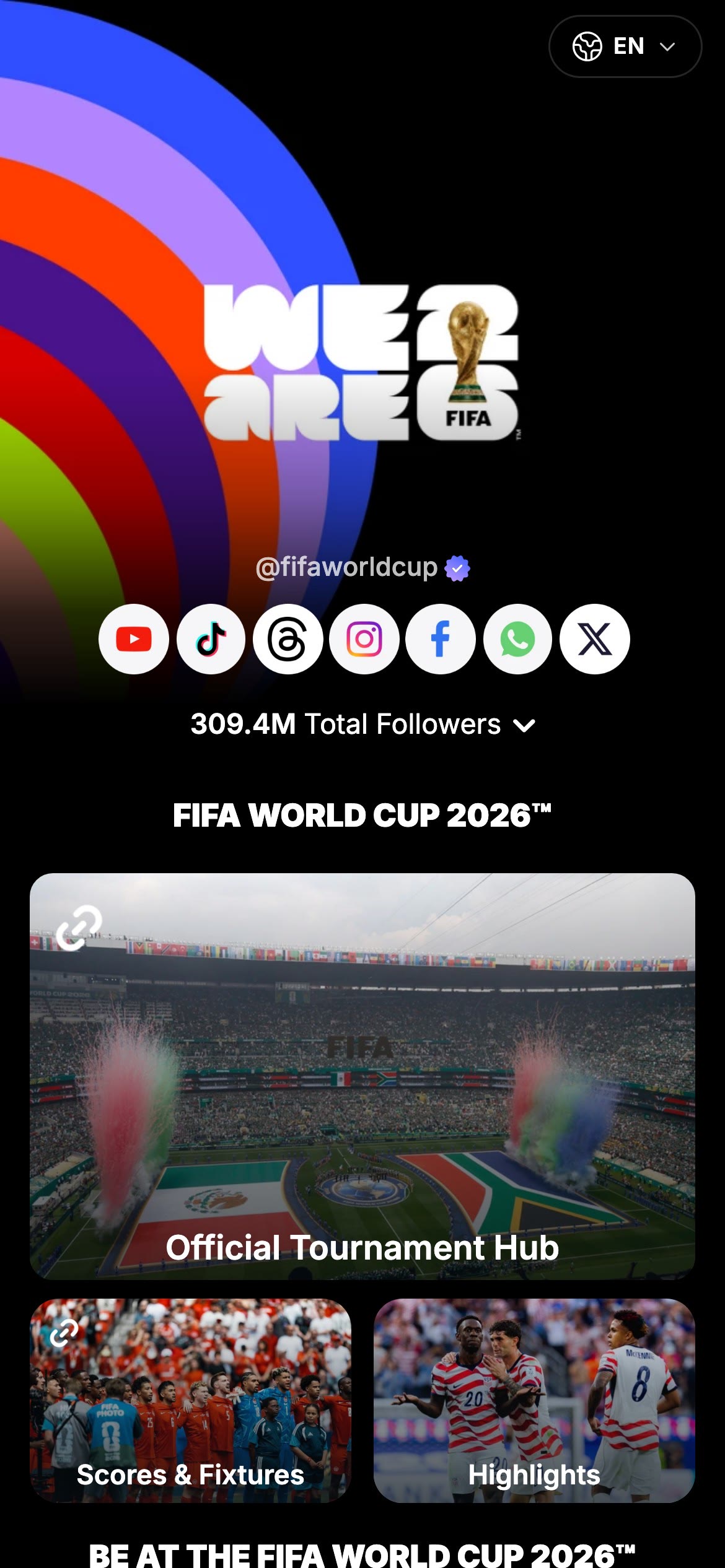 The fifaworldcup page on Linkme